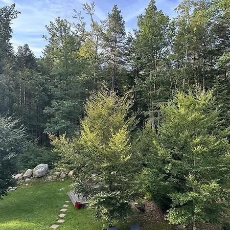 Cote Foret Casa de hóspedes 3*